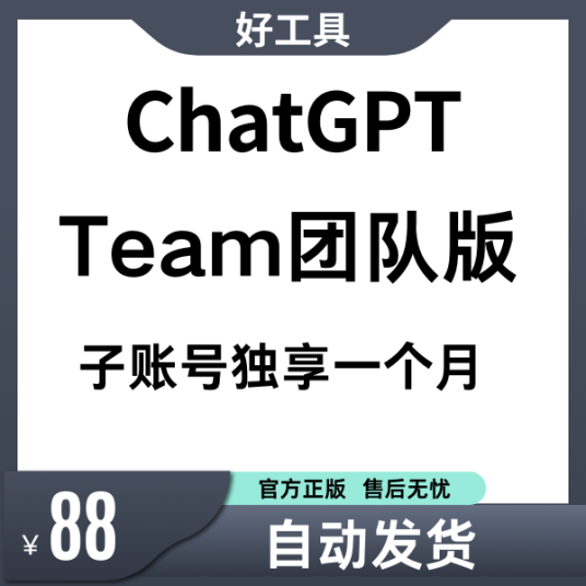 ChatGPT Team团队版 | 5个人共享合租、自动发货 | 保证能用30天